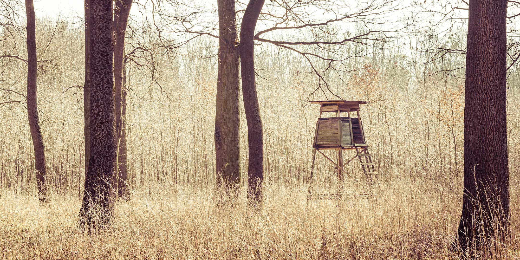 Waffenschränke von BURG-WÄCHTER für Langwaffen und Kurzwaffen