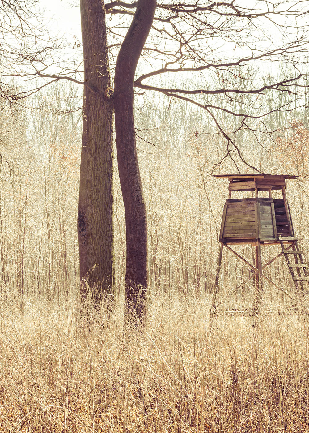 Waffenschränke von BURG-WÄCHTER