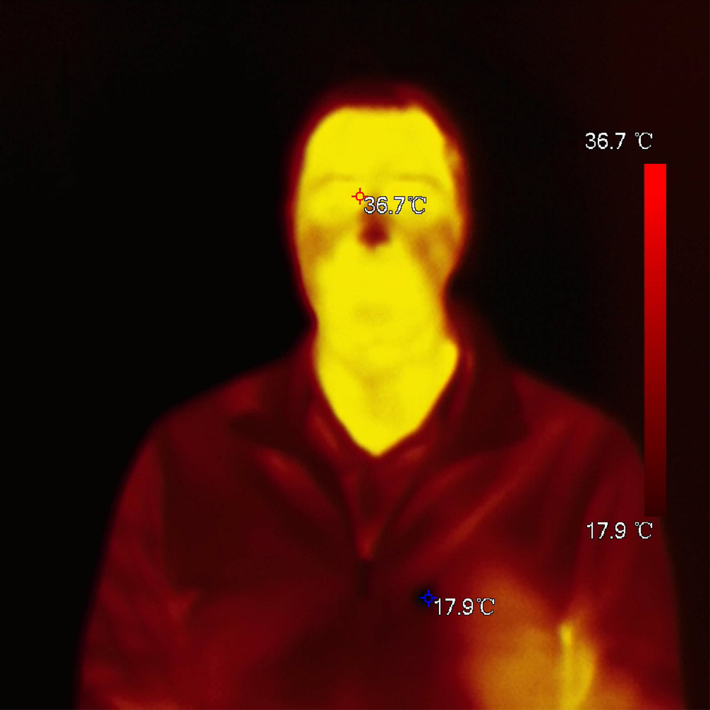 BURG-GUARD Wärmebildkamera mit Temperaturmessung