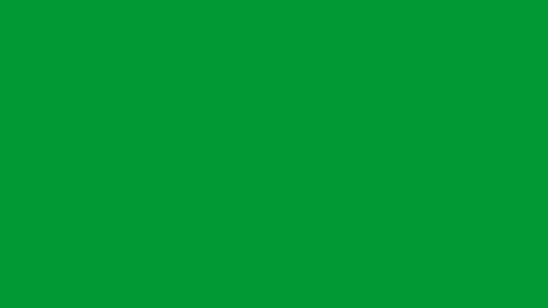 BURG-GUARD FAQ Hintergrund Grün